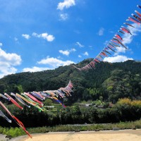 03 こいのぼりの川渡し