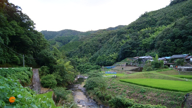 古城小への道