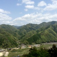 こいのぼり公園