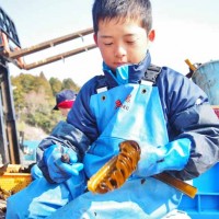 宮城 石巻 漁業体験2