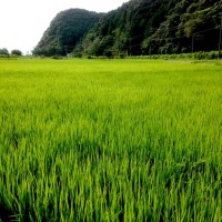 高知 中土佐 西岡酒造 移住