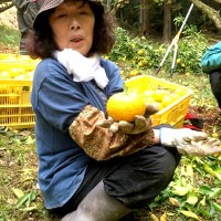 キレイな実をおみやげ