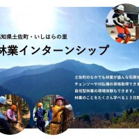 林業インターンシップ