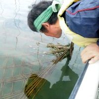 顔を水面ギリギリ