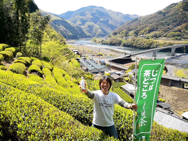 実は茶どころ