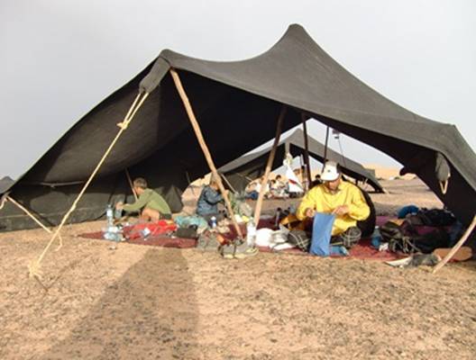 サハラマラソン：参加者の寝るテント