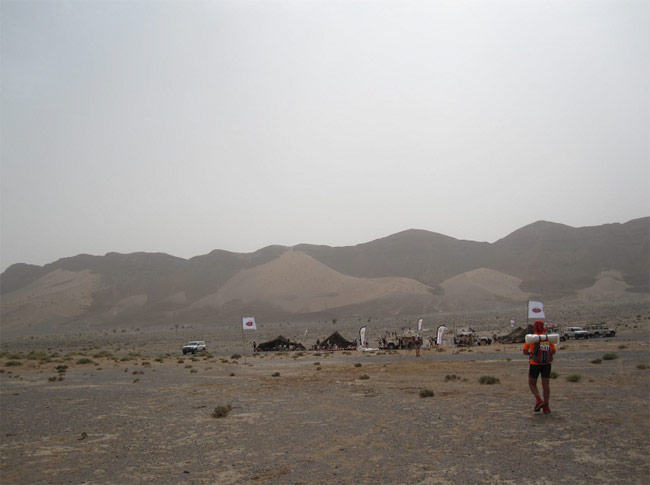 サハラマラソン：ラクダの群れ