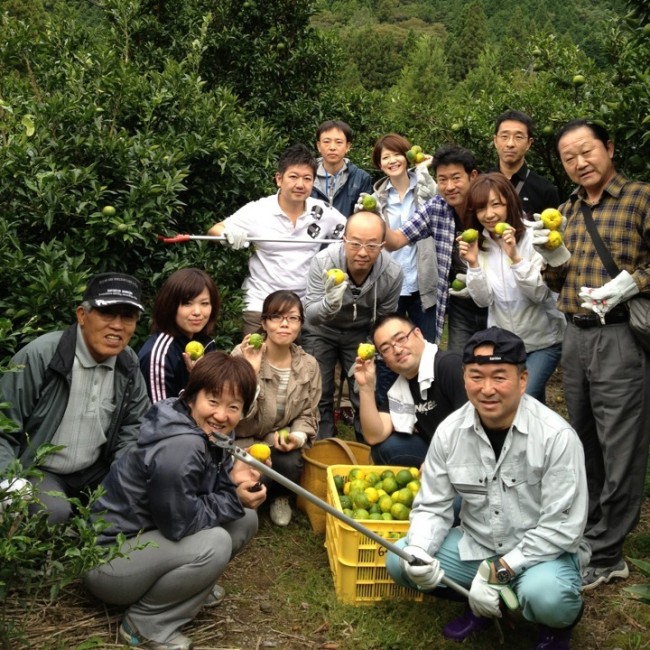 柚子の収穫体験