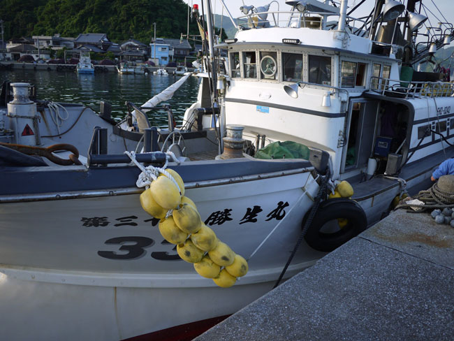 宇和島の水産業を支える 九島の巻き網漁 前編 いなかパイプ いなか と とかい のパイプウェブ
