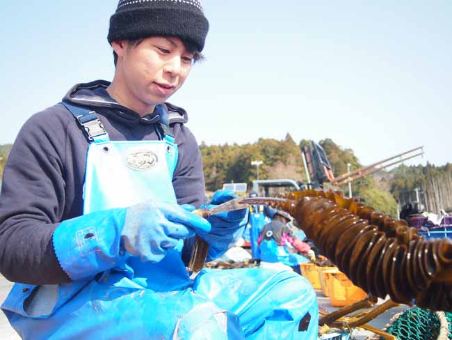 宮城　石巻　漁業体験1