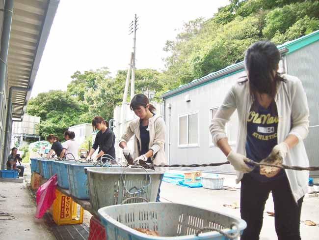 宮城　石巻　漁業体験5