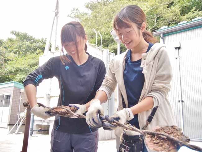 宮城　石巻　漁業体験4