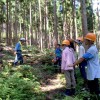 自伐型林業体験ツアー