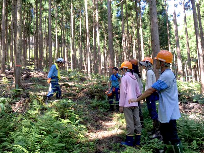 自伐型林業体験ツアー