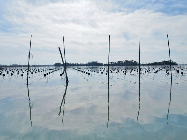 海苔の漁場