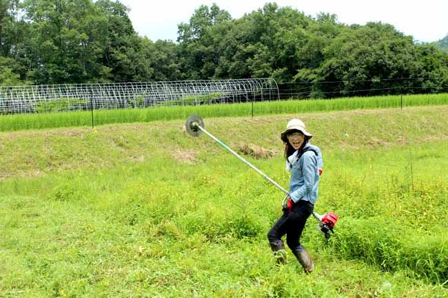 大阪府と兵庫県を流れる猪名川。 その源流があるのが猪名川町です。 豊かな水と気候でおいしい野菜が育ちます。   そんな猪名川町にある[なかなかファーム]さんで 野菜の苗に堆肥を運ぶ、草削り、収穫物があれば収穫も。 といった感じで、今の時期の農家さんがどのような事をしているのか ちょっと本格的な農作業を体験していただけます！   それではお待ちしています！！