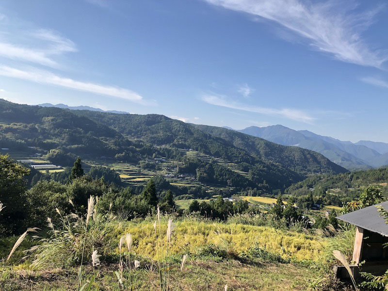 棚田
