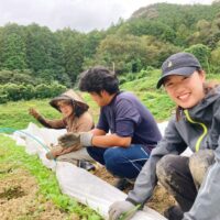 横山さん　流域野菜