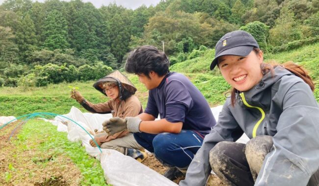 横山さん　流域野菜