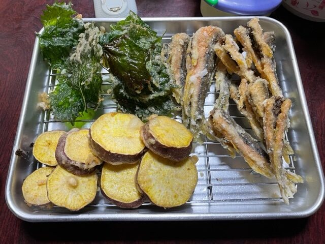 釣った魚を天ぷらに