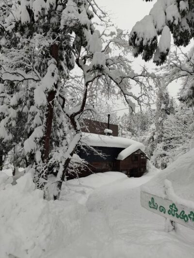 雪に埋まる我が家。もはや冬の見慣れた景色。 